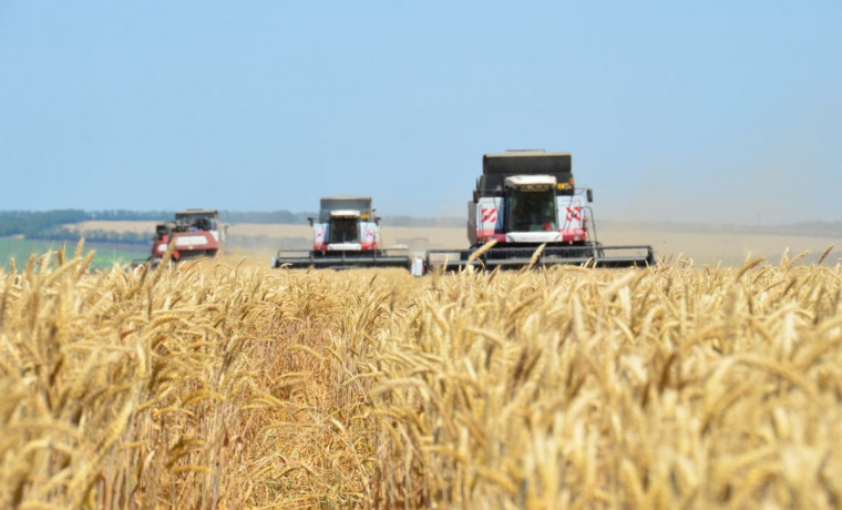 В России впервые пройдет Всероссийский агродиктант