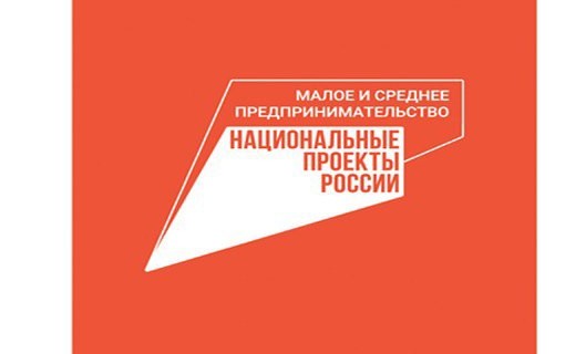 Почти 800 млрд рублей получил малый и средний бизнес под поручительства НГС за 9 месяцев этого года