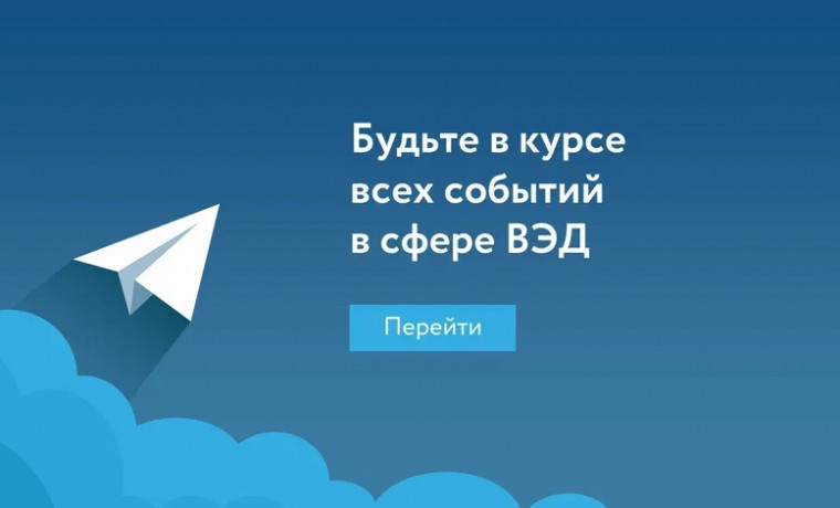 Новости экспорта теперь в Telegram: РЭЦ расскажет о мерах поддержки бизнеса