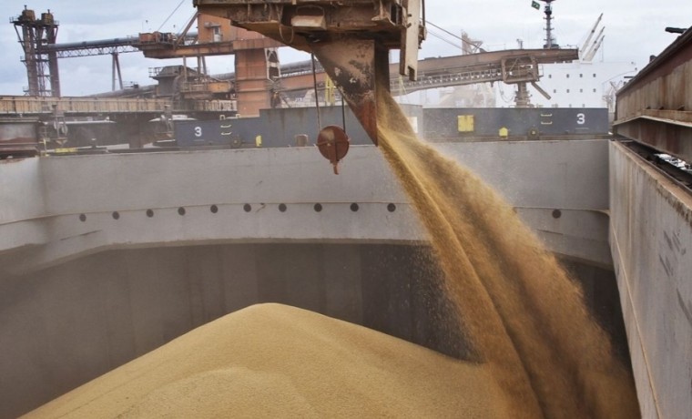 В 2025 году Чеченская Республика экспортировала 39 тыс. тонн зерна под контролем Россельхознадзора