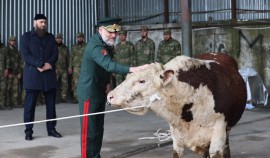 В Управлении Росгвардии по ЧР состоялось благотворительное мероприятие ко Дню памяти и скорби