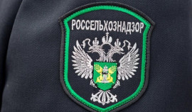 Меры по усилению биобезопасности предприятий ЧР обсудили в Россельхознадзоре