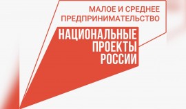 МСП сможет привлечь 180 млрд рублей под «зонтичные» поручительства Корпорации МСП