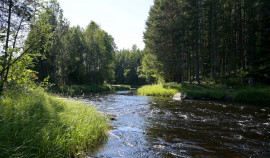 Чеченская Республика, Владимирская область и Татарстан получат 135 млн рублей на расчистку рек