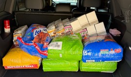 Россельхознадзор по ЧР поддержал благотворительную акцию «Помоги коту пережить зиму»| грозный, чгтрк