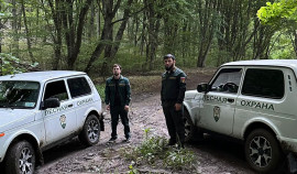 Минприроды ЧР усиливает патрулирование лесов в рамках нацпроекта «Экологическое благополучие»