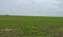 Россельхознадзор обследовал 630 га сельхозугодий в ЧР с применением беспилотников