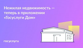 Для кладовки и машино-места: управлять нежилой недвижимостью можно через приложение «Госуслуги Дом»