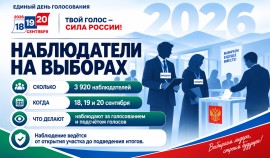Более 3,9 тысячи наблюдателей будут следить за ходом выборов в Чеченской Республике