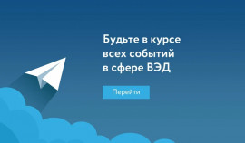 Новости экспорта теперь в Telegram: РЭЦ расскажет о мерах поддержки бизнеса