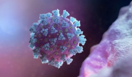 Коэффициент распространения коронавируса в РФ поднялся до максимума с 1 ноября