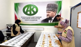 РОФ им. А.-Х. Кадырова оказал помощь 90 тяжелобольным детям в секторе Газа| грозный, чгтрк