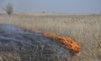 В Чечне местами ожидается чрезвычайная пожарная опасность 