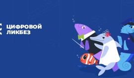 В России стартует Всероссийский проект «Цифровой ликбез»