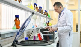 Тульские ученые разрабатывают новые микробные биосенсоры