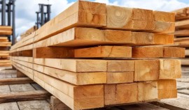 Хозяйствующие субъекты ЧР получили предостережения за нарушение карантинного законодательства| грозный, чгтрк