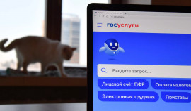 Новые возможности на «Госуслугах»: упрощение получения услуг до конца 2025 года