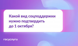 Срок подачи заявления на замену набора социальных услуг истекает 1 октября
