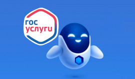 Более 15 миллионов человек воспользовались сервисами «жизненные ситуации»