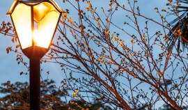 АО «Чеченэнерго»: 11 марта пройдут плановые отключения электричества в ряде районов ЧР