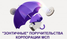 Чеченская Республика лидирует по росту кредитования малого бизнеса с поддержкой Корпорации МСП