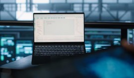 Искусственный интеллект помог выявить нарушения в системе ветеринарного контроля ЧР