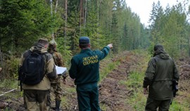 Арендаторам лесных участков разъяснили требования законодательства и пожарной безопасности