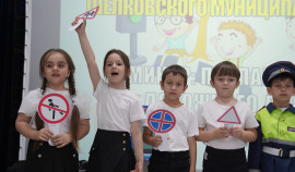 В Шелковском районе прошёл семинар по ПДД в рамках нацпроекта «Молодёжь и дети»