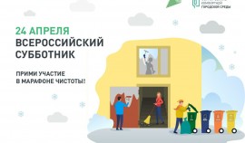 Жители ЧР выйдут на Всероссийский субботник 24 апреля