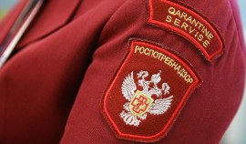 В Роспотребнадзоре опровергли информацию о заражении человека чумой от клещей