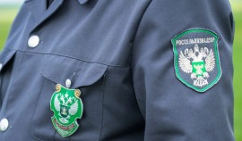 Декларации на 5,9 тыс. т пшеницы в ЧР признаны недействительными из-за нарушений