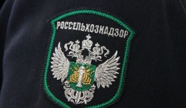 Заброшенный сельхозучасток в Грозненском районе вернули в оборот