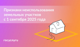 Установлены критерии неиспользования участков: что нужно учитывать  собственникам земли с 1 сентября