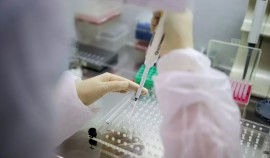 Роспотребнадзор: Выявленные в Великобритании мутации коронавируса не влияют на клиническую картину