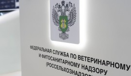 Россельхознадзор провел профилактический визит в ООО «Чеченагроинвест»| грозный, чгтрк