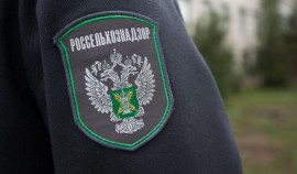 Учения по ликвидации опасных болезней животных прошли в Ачхой-Мартановском районе
