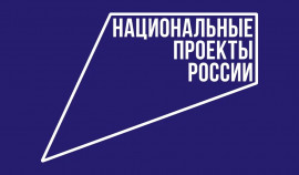 Минспорт предложил включить фиджитал-спорт в программу по физкультуре