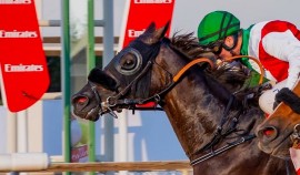 Скакун конюшни «Ахмат Рэйсинг» завоевал Кубок Emirates в ОАЭ