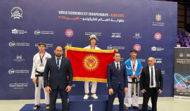 Чеченские спортсмены заняли призовые места на Чемпионате и первенстве мира по тхэквондо ГТФ