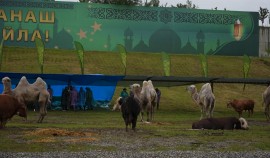 В Чеченской Республике и Мекке оказана масштабная помощь нуждающимся в дни Ид аль-Адха