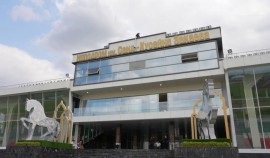 В Грозном состоялись скачки «Большого Грозненского приза Дерби»