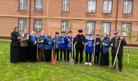 В ЧР по проекту «Российское село» высадят более 700 молодых деревьев хвойных пород