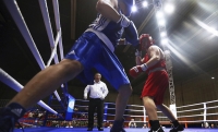 В Грозном стартовал Чемпионат России по боксу 