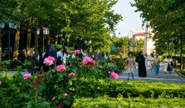 Грозный признан городом с самой благоприятной экологией в России