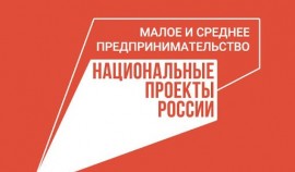 В России количество индивидуальных предпринимателей выросло и достигло 4,2 млн