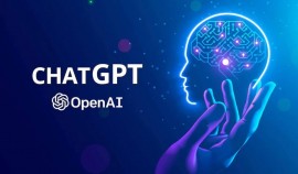 Организация OpenAI работает над новым секретным проектом