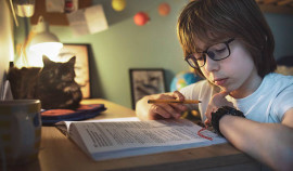 Школьники смогут получать домашние задания в приложении «Госуслуги»