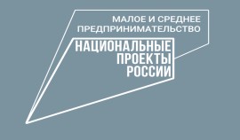 Объем закупок госкомпаний у самозанятых вырос в 1,5 раза и превысил 8 млрд рублей