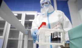 В России выявили новый максимум заразившихся коронавирусом за сутки