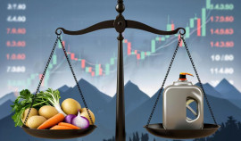 В августе в Чеченской Республике подешевели овощи, но подорожал бензин